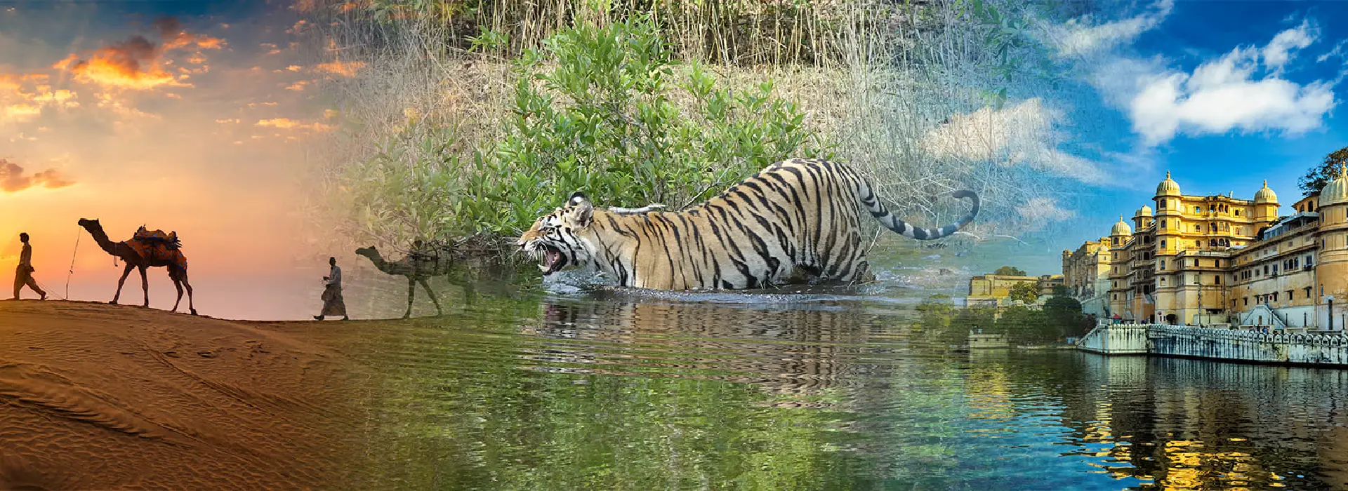 27 Seater Bus Rental